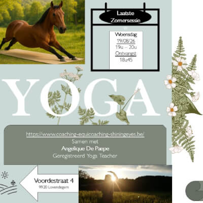 Yoga Yoga
